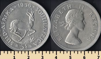  5  1956