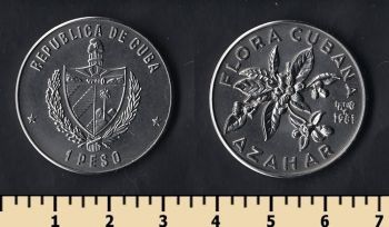  1  1981