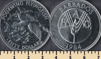  50  1984