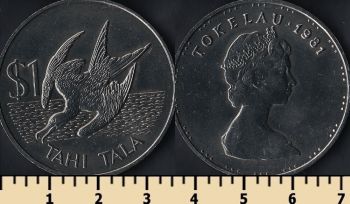  1  1981