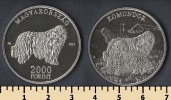  2000  2020