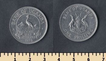  1  1975