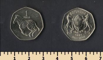  1  1991