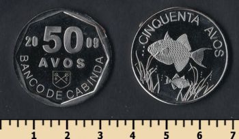  50  2009