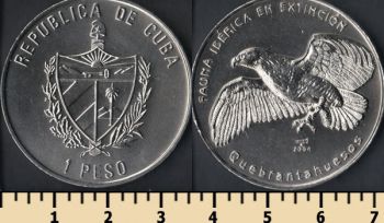  1  2004