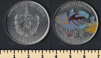  1  2005