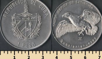  1  2004