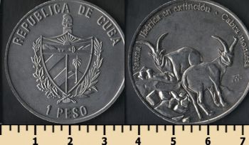  1  2007