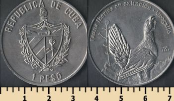  1  2007