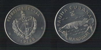  1  1981
