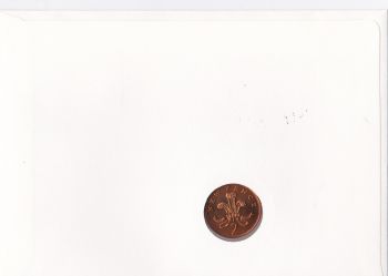  2  1981