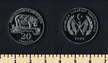    5  2020