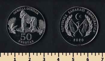    5  2020