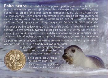  2  2007