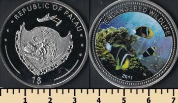  1  2011