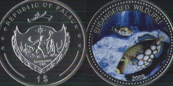  1  2009