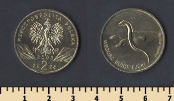  2  2003