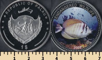  1  2009