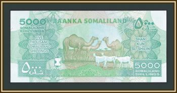  5000  2011 P-21 (21a) UNC