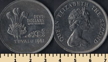  5  1981