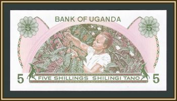  5  1982 -15 UNC