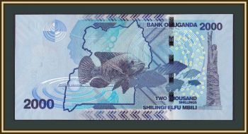  2000  2017 P-50 (50d) UNC