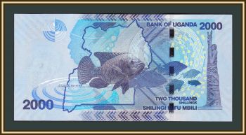  2000  2019 P-50 (50e) UNC
