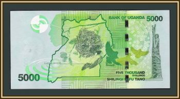  5000  2010 P-51 (51a) UNC