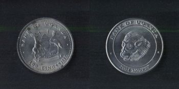 100  2004