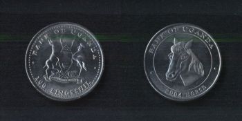  100  2004