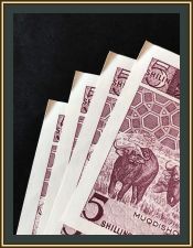  5  1987 P-31 (31c) UNC